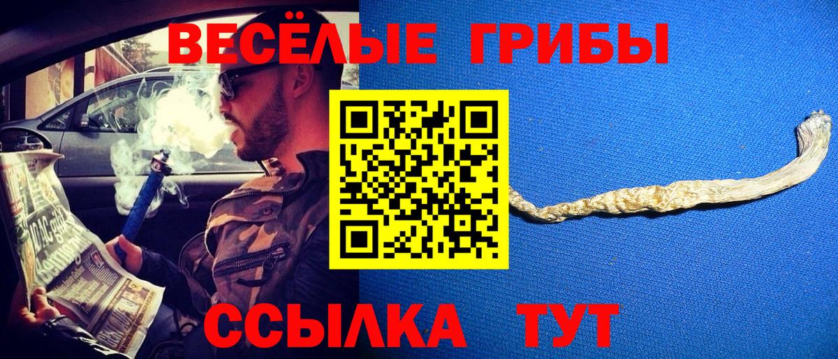 Псилоцибиновые грибы Cubensis  Вход с VPN  Кызыл 